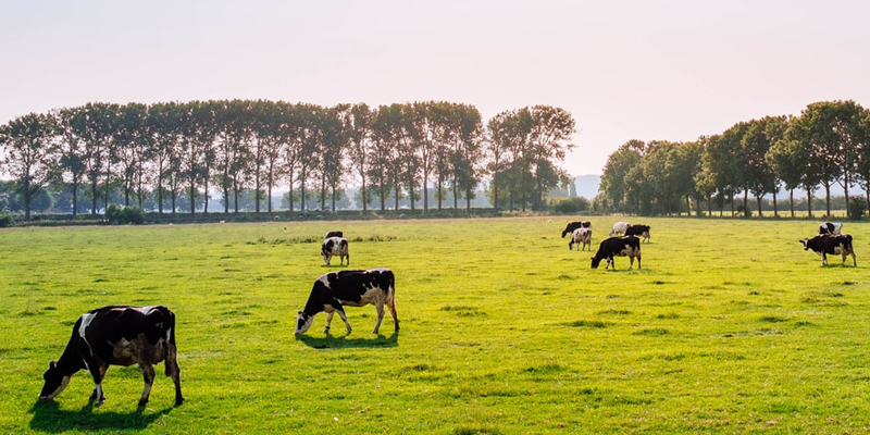 Multi - County Pasture Tours - Cleveland, McClain, Garvin