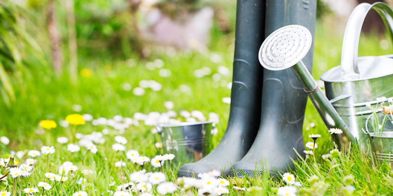 Gardening 101