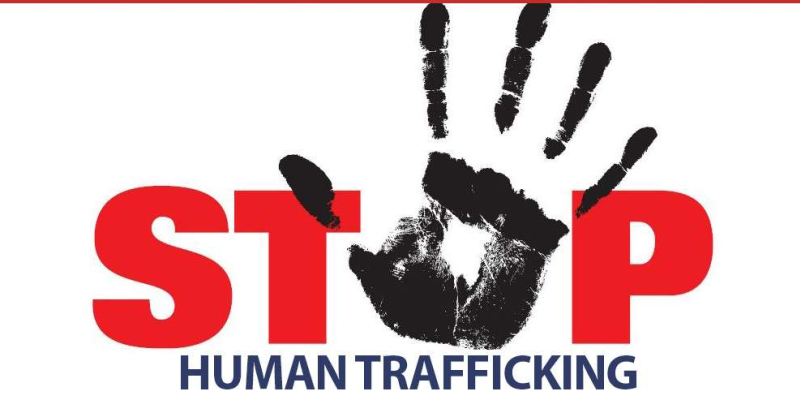HUMAN TRAFFICKING - OSDE2425 - OLT