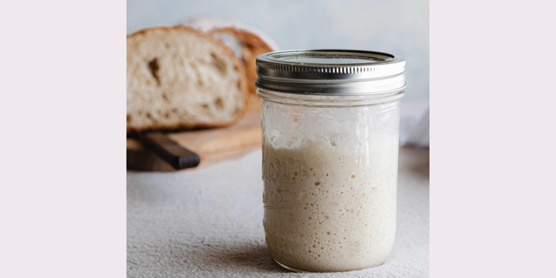 Starter Stories: Sourdough Basics for Beginners